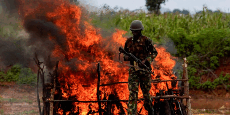 Nigeri, 600 të rrëmbyer gjatë sulmit në xhami (VIDEO) -