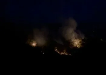 Natë e vështirë në Drenie! Zjarri vijon të përhapet, forcat në terren luftojnë për kontrollin e flakëve