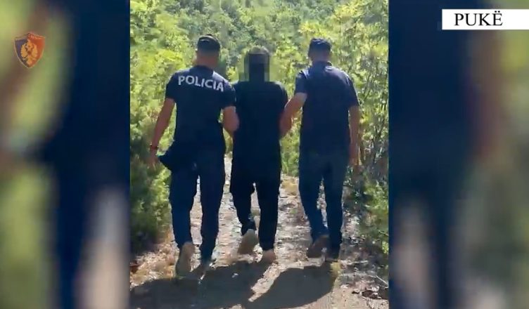 Kultivonte 105 bimë kanabisi dhe mbante pistoletë në banesë  arrestohet 58 vjeçari në Pukë