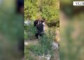 Kapet në flagrancë 33-vjeçari në Dukat, zbulohen 135 bimë kanabisi (VIDEO)