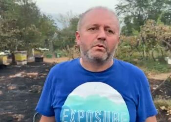 Zjarret në Vranisht, banori: Më janë djegur mbi 50 koshere, kërkoj dëmshpërblim