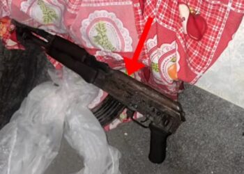 Qëlloi me armë policinë gjatë operacionit antikanabis në malësinë e Pukës, shpallet në kërkim 30-vjeçari! Ruante parcelat