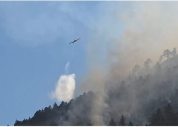 Shkrumbohen pishat e bredhat në Parkun e Lurës, në ndihmë për zjarret edhe dy avionë