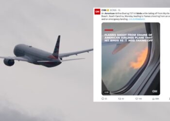 VIDEO/ Panik në fluturim mbi SHBA, motori i avionit “Boeing” merr flakë pas përplasjes me një zog dhe bën ulje emergjente