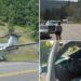VIDEO/ “Diçka që e sheh vetëm në filma”- Tragjike në Kanada, avioni ulet në autostradë dhe përplas 4 makina, vdes një grua!