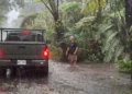 Më shumë se 100,000 persona pa energji elektrike në Hawaii nga uragani Lala -