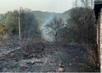 FOTO/ Zjarri në Vranisht shkrumbon banesën dhe kosheret e bletëve! Digjen edhe disa hektarë me ullinj e pemë