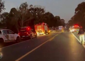 VIDEO/ Tragjedi rrugore në Brazil, autobusi që transportonte pacientë me aftësi të kufizuara përplaset me kamionin, të paktën 23 të vdekur!