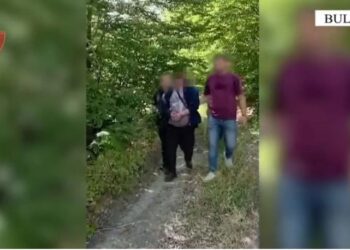 Nga Kamza në Bulqizë për të kultivuar dy parcela me hashash, arrestohet 37-vjeçari i dyshuar!