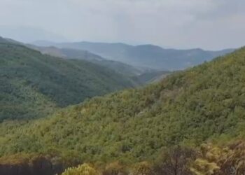 Fiken plotësisht vatrat e zjarreve në Drenie, Emergjencat po i mbajnë nën monitorim në rast riaktivizimi!