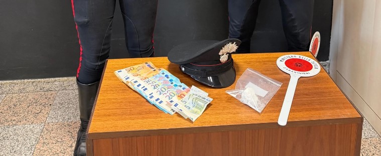 Pjesë e  ushtrisë së drogës   shqiptari kapet duke trafikuar kokainë në Itali  E kishte fshehur në shkurre  ja skema se si operonte