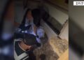Shisnin kokainë e hashash në ‘beach-baret’ e jugut, arrestohen 2 të dyshuarit! Njëri me makinë dhe tjetri me rulot, sekuestrohen 150 doza