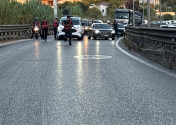 Detaje të reja nga arrestimi i Ergys Agasit / Ja çfarë u gjet në makinën. FOTO nga operacioni