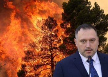 Situata e zjarreve në vend, ministri Nufi: Aksion pa ndërprerje nga toka e ajri, 274 forca dhe 5 mjete ajrore! Siguria e qytetarëve, prioritet