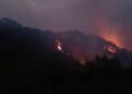 Përmirësohet situata nga zjarret në Mallakastër! Mbeten aktive 10 vatra nga veriu në jug