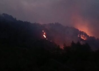 Përmirësohet situata nga zjarret në Mallakastër! Mbeten aktive 10 vatra nga veriu në jug