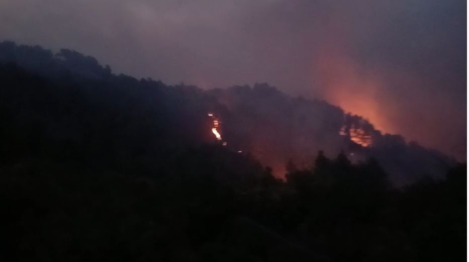 Përmirësohet situata nga zjarret në Mallakastër  Mbeten aktive 10 vatra nga veriu në jug