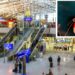 Alarm në Gjermani, në aeroportin e Frankfurtit shpërthen malaria! 6 punonjës të infektuar, njëri humb jetën