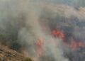 Zjarri përfshin edhe pyjet e Gjinarit në Elbasan, rrezikohen banesat, era favorizon flakët! Zbulohet shkaku
