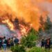 “Epidemia” e zjarreve në Greqi, mbi 300 persona të arrestuar, 36 prej tyre piromanë!