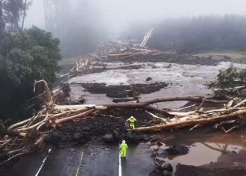 VIDEO/ Katastrofë natyrore në Hawaii, stuhia “Lala” shemb rrugë dhe ura! Bie një metër shi, 120 mijë banorë pa energji, shikoni pamjet