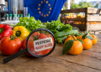 Gati 32% e shqiptarëve në pasiguri ushqimore? Çfarë tregon raporti i FAO-s