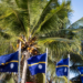 Nauru ndryshon emrin pas dekadash, shteti ishullor rikthehet te identiteti tradicional