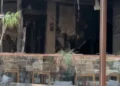 Pas zjarrit në hotel, operatorët turistikë në Vlorë hapin dyert për pushuesit: Akomodim falas dhe ndihmë për të dëmtuarit