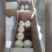 FOTO/ Po hynin ilegalisht në Shqipëri, kapen 80 litra insekticide në Portin e Durrësit! Ngarkesa pa dokumentacion në një furgon dhe…