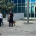 VIDEO/ “Bomba do shpërthejë pas 2 orësh”, alarm në disa institucione, zbardhet përmbajtja e emailit kërcënues