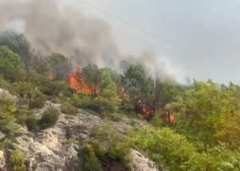 Situatë kritike pas riaktivizimit të zjarrit në Abazaj të Krujës, rrezik dhe për banesat! Kërkohet ndërhyrja me helikopter