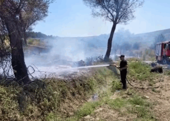 Zjarri përfshin një sipërfaqe me shkurre dhe pemë në Libofshë, ndërhyjnë zjarrfikësit