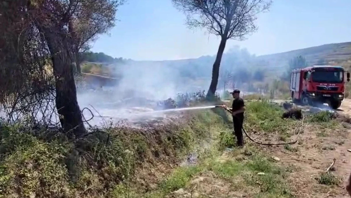 Zjarri përfshin një sipërfaqe me shkurre dhe pemë në Libofshë  ndërhyjnë zjarrfikësit