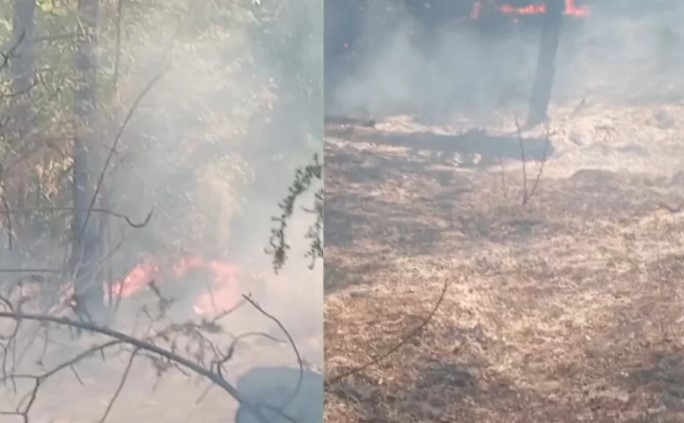 Pas disa orësh lufte me flakët  vihet nën kontroll edhe zjarri në Lugaxhi të Elbasanit 