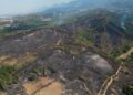 Zjarret në Tiranë, ja çfarë lanë pas flakët në Lundër dhe Priskë! Hektarë të shkrumbuar dhe pasoja, pamjet me dron (VIDEO)