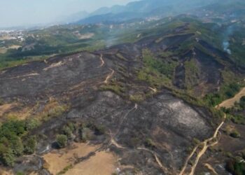 Zjarret në Tiranë, ja çfarë lanë pas flakët në Lundër dhe Priskë! Hektarë të shkrumbuar dhe pasoja, pamjet me dron (VIDEO)