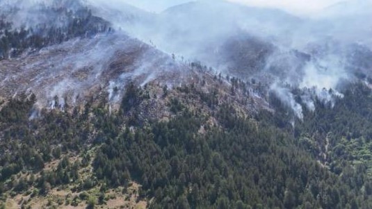 Situatë kritike me zjarret në zonën e Lurës, flakët favorizohen nga era dhe i afrohen banesave! Forca, avionë dhe ambulancë në aksion, dyshohet i qëllimshëm