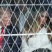 VIDEO/ “Nuk mund ta duroj më”- Lexuesi i buzëve zbulon se çfarë i tha Melania presidentit Trump gjatë eventit sportiv: Ndodhi dy herë…!