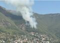 FOTO/ Zjarr i madh në masivin pyjor të Milotit, era favorizon vatrën, flakët po i afrohen dhe zonës së banuar!