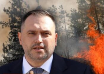 Zjarret në Shqipëri po i ndezin ‘armiqtë e huaj’? Flet ministri i Mbrojtjes