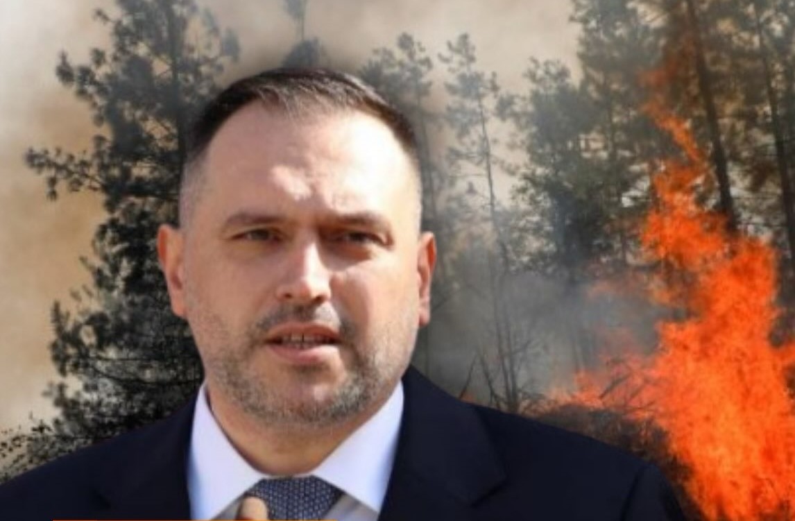 Zjarret në Shqipëri po i ndezin  armiqtë e huaj   Flet ministri i Mbrojtjes
