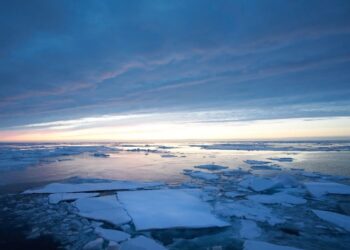 Fenomeni “El Nino”, oqeanet arrijnë temperatura historike rekord, shkak edhe ngrohja globale!
