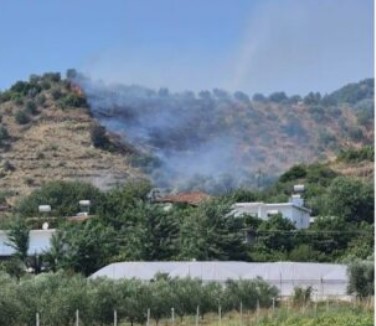 Zjarri shkrumbon kodrat me ullinj në Peqin  digjen 2 hektarë  dyshohet se u vu qëllimisht 