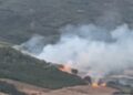 Zjarri përfshin edhe pyllin me pisha në Peshtan të Fierit, flakët larg banesave, operacion për shuarjen!