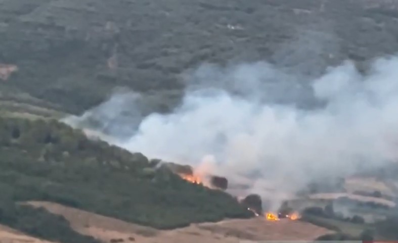 Zjarri përfshin edhe pyllin me pisha në Peshtan të Fierit  flakët larg banesave  operacion për shuarjen 