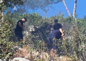 FOTO/ Zjarre në malin e Qukësit në Prrenjas, izolohen katër vatra pas 12 orësh ndërhyrjeje! Hetime për akt të qëllimshëm