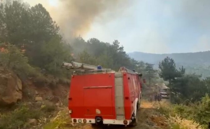 31 vatra zjarri në 24 orë  Ministria e Mbrojtjes  Ja zonat problematike