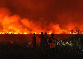 Zjarret në Indonezi, mbyllen dhjetëra shkolla -