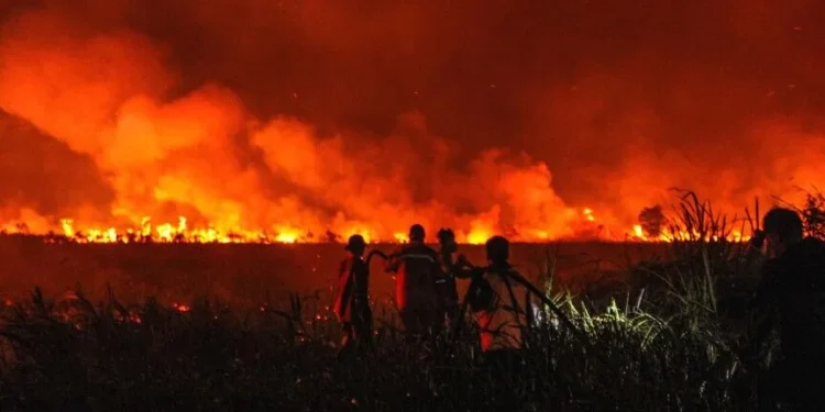 Zjarret në Indonezi, mbyllen dhjetëra shkolla -