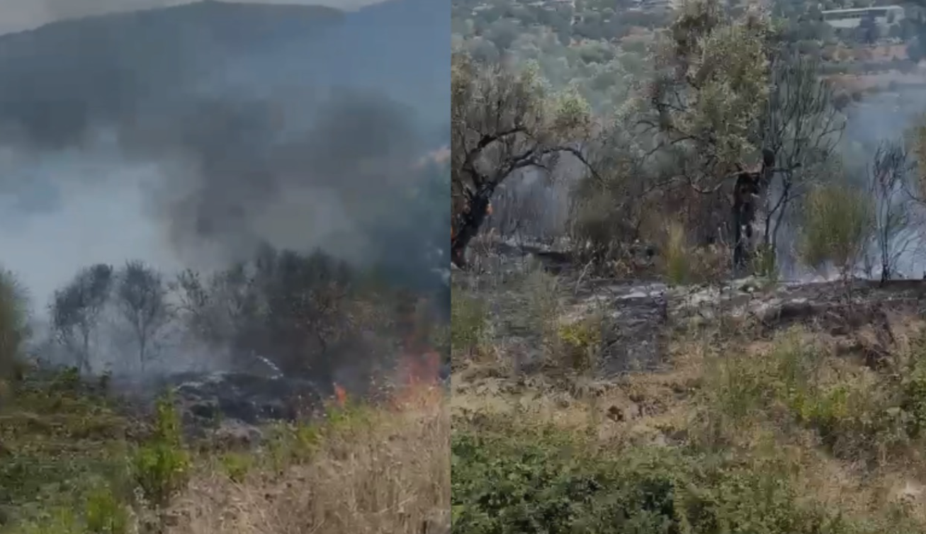 Zjarr në Trevllazër të Vlorës  flakët përfshijnë ullishtet  favorizohen nga era